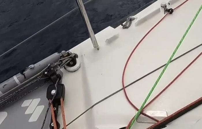 Engagées dans le Vendée Globe, elles impressionnent, toujours en embuscade, les femmes ne lâchent rien