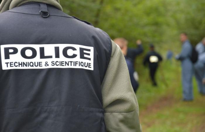 une femme de 81 ans retrouvée morte dans un sac en forêt, son voisin soupçonné, un autre voisin “pas surpris”