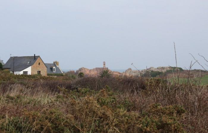 Sur l’île de Bréhat, la lande et le massif forestier seront classés au risque incendie