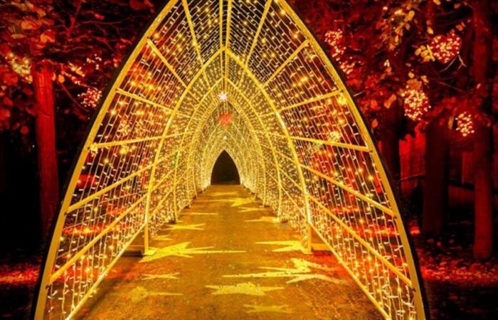 Lumières en Seine, le parcours illuminé et festif revient à deux pas de Paris