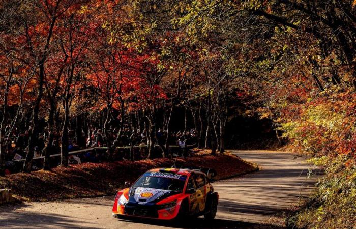 Classement SS11 Rallye du Japon 2024