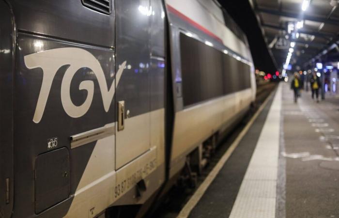 Les passagers d’Hendaye-Paris bloqués neuf heures avant d’arriver à… Bordeaux