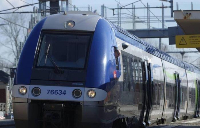 Plusieurs centaines de passagers TER et TGV bloqués en pleine nuit dans les Landes