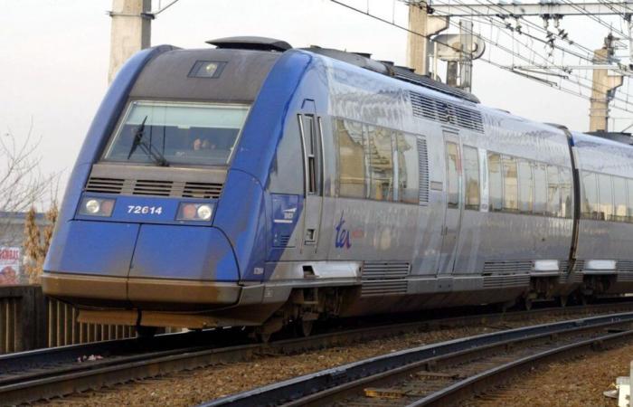 220 passagers d’un train Hendaye-Bordeaux bloqués en pleine nuit dans les Landes