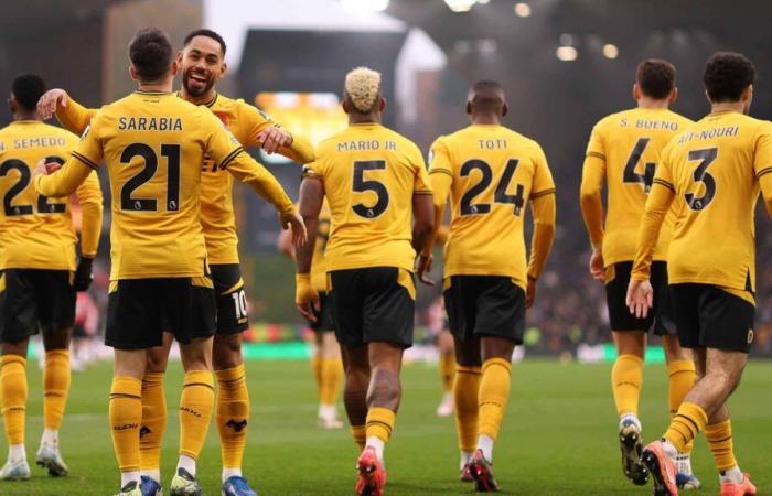 Comment regarder Fulham contre les Wolves | Première équipe masculine