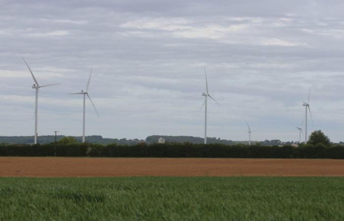 Ce parc éolien devrait voir le jour dans la Sarthe : les opposants sont déçus