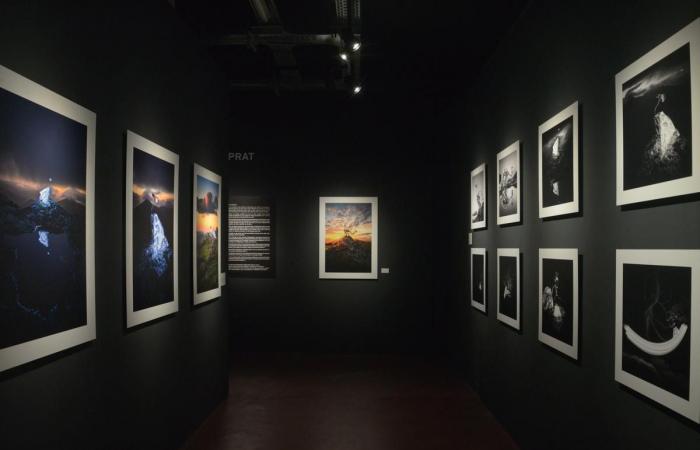 la nouvelle exposition Didam met en lumière les « Talents du Pays Basque »