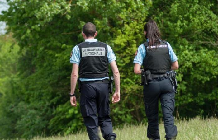 le corps d’une femme de 81 ans découvert dans un sac, son voisin placé en garde à vue