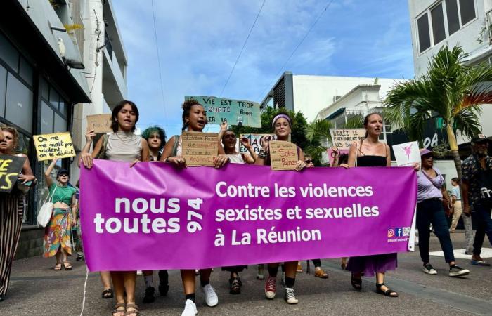 Près de 200 manifestants défilent contre les violences sexistes et sexuelles