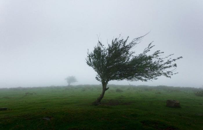 Après la neige, le vent fort s’abattra sur l’Orne avant “une montée extraordinaire”