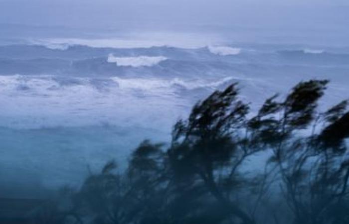 Les Pyrénées-Atlantiques placées en alerte orange en raison de vents violents dès dimanche matin