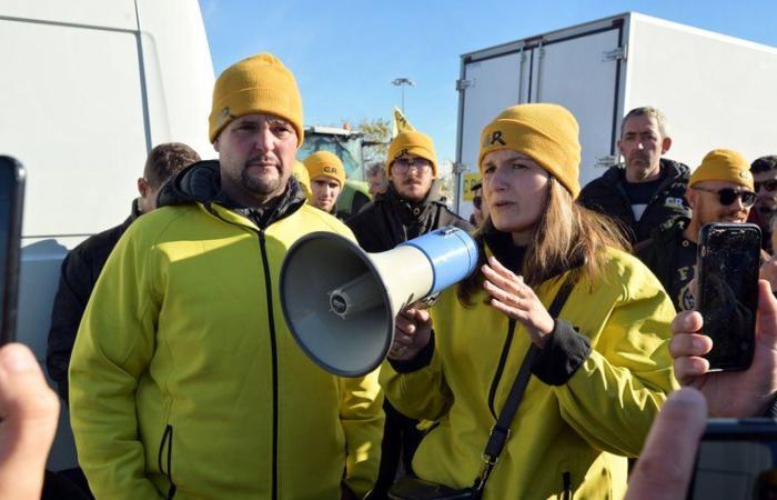 « Importations de céréales d’Ukraine »… Ce que CR 47 reproche à Arnaud Rousseau et son groupe Avril