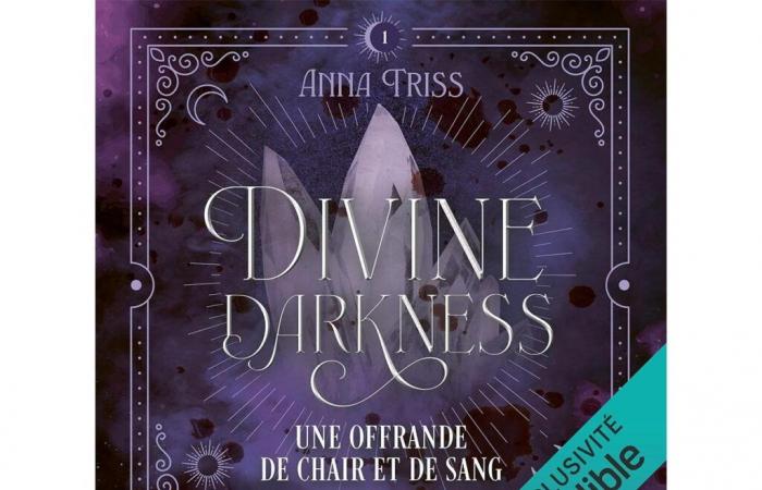 Divine Darkness tome 1 une Romantisme au top !