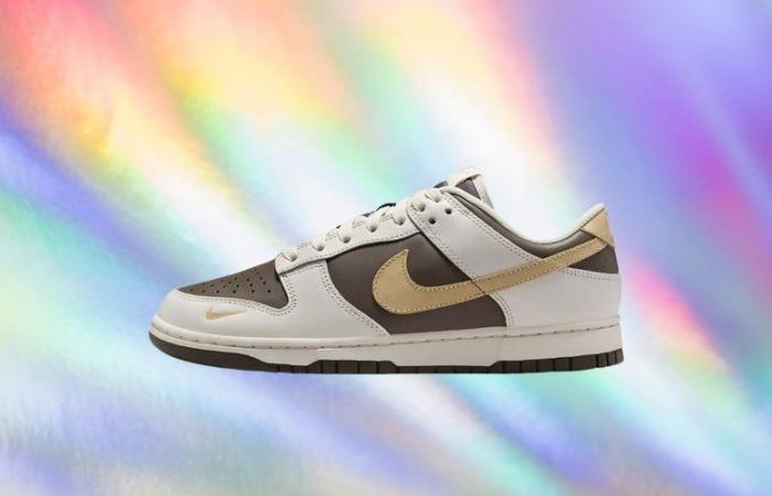 A un tel prix, les fans de sneakers s’arrachent ce modèle Nike Dunk Low (-30%)