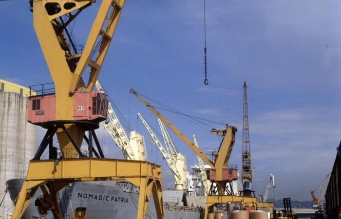 Connaissez-vous l’origine des grues Picasso qui encadrent la 106 à Rouen ?