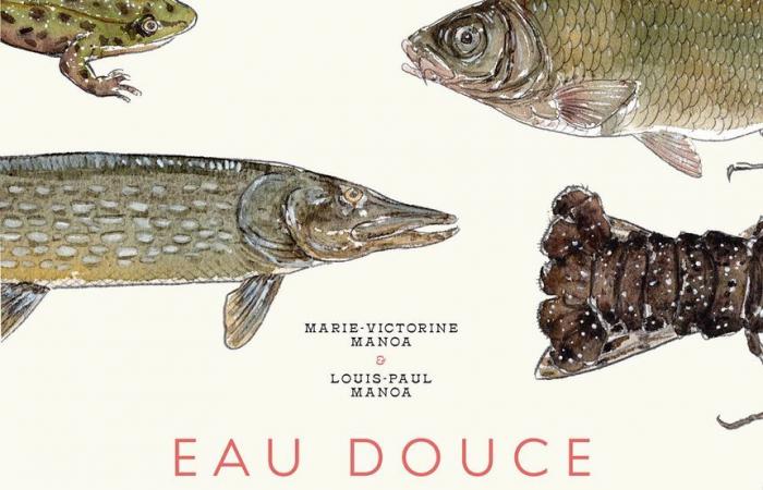 Poissons d’eau douce | France Inter