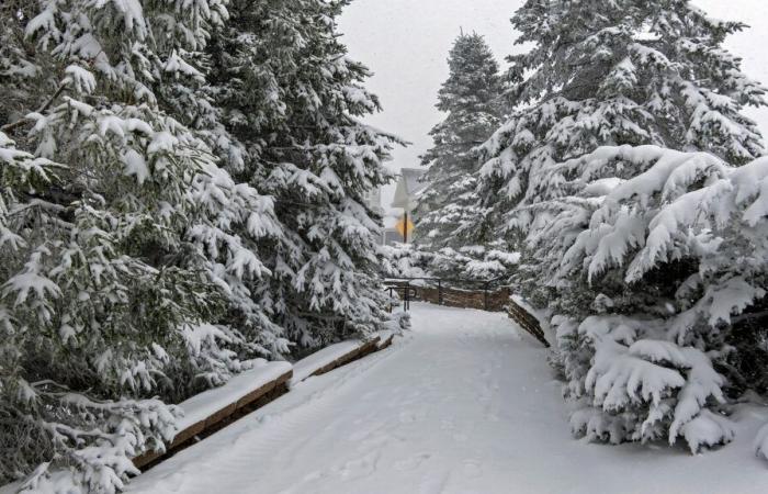 La météo pourrait avoir un impact sur les voyages de Thanksgiving