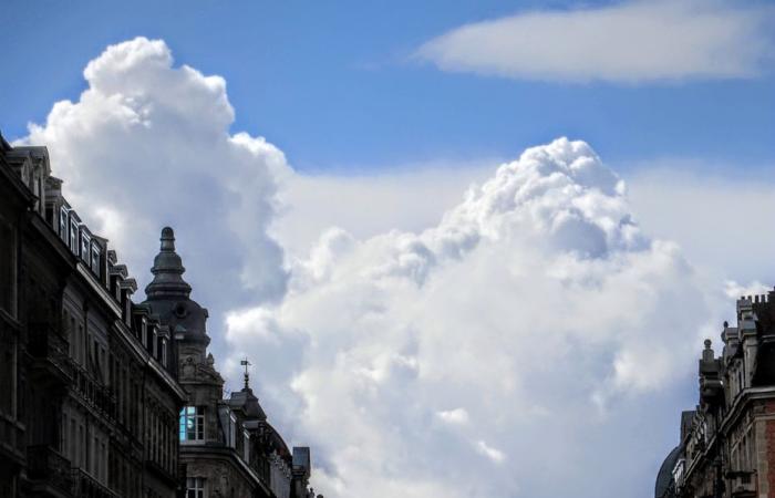 Bulletin météo. Quel temps fait-il ce dimanche 23 novembre dans les Hauts-de-France ?