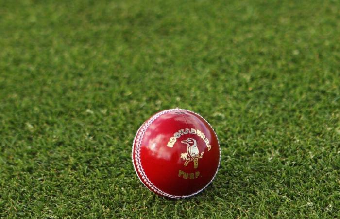 Score de cricket et mises à jour du Pakistan au Zimbabwe 2024