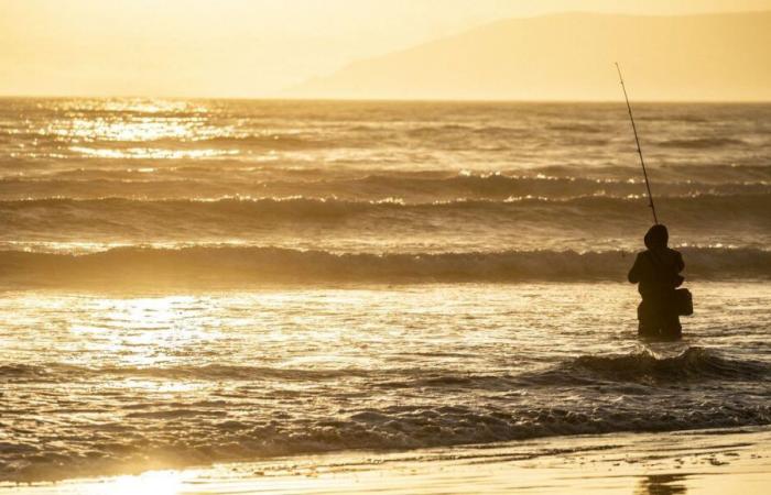 Le surfcasting, une technique pour les noctambules ?