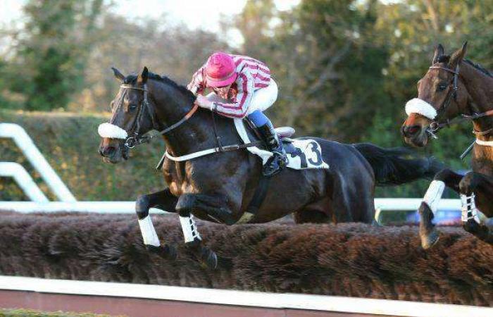 Pronostic gratuit pour le STEEPLE-CHASE NATIONAL ANGLO-ARABE