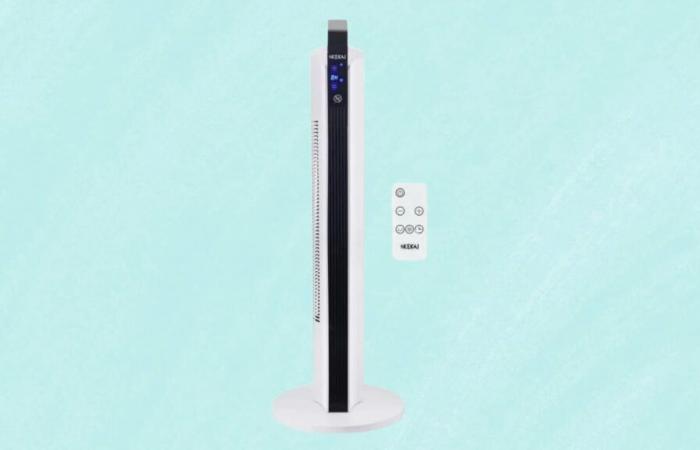 L’hiver est là ! Chauffez-vous à prix réduit grâce à cette remise folle sur ce radiateur efficace