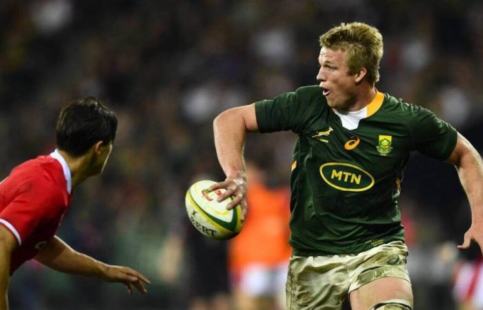 Rugby. Pieter-Steph du Toit nommé joueur à XV de l’année