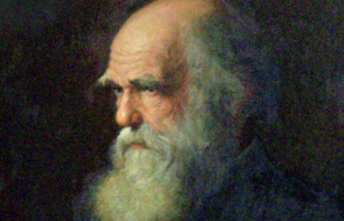 Il y a 165 ans, Darwin et la révolution « Origine des espèces »