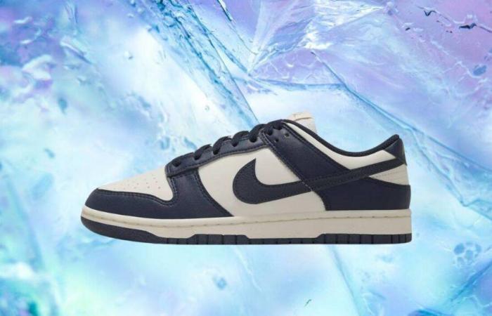 Offrez-vous la Nike Dunk Low Next Nature enfin à prix cassé ce dimanche