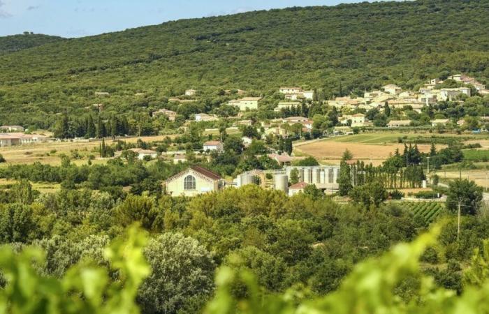 GARD Les Vignerons des Capitelles s’accordent avec vos repas de fin d’année