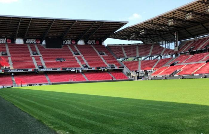 Lille – Stade Rennes: SRFC notes