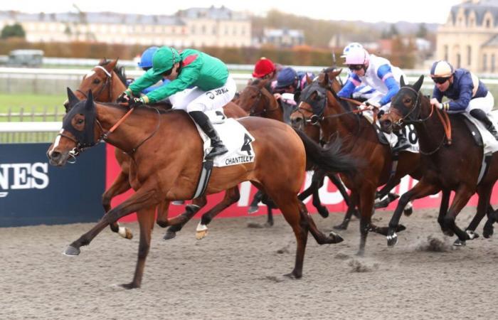 Ashiyma remporte le Prix Cérès à Chantilly