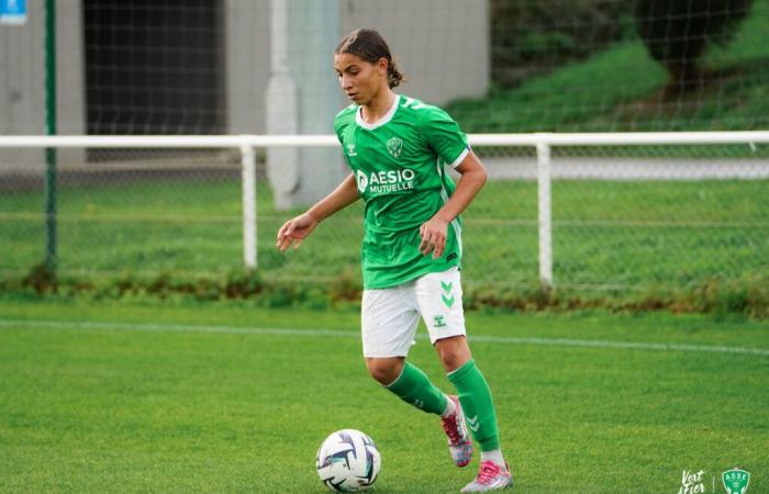 Les Verts sérieux à Ghisonaccia