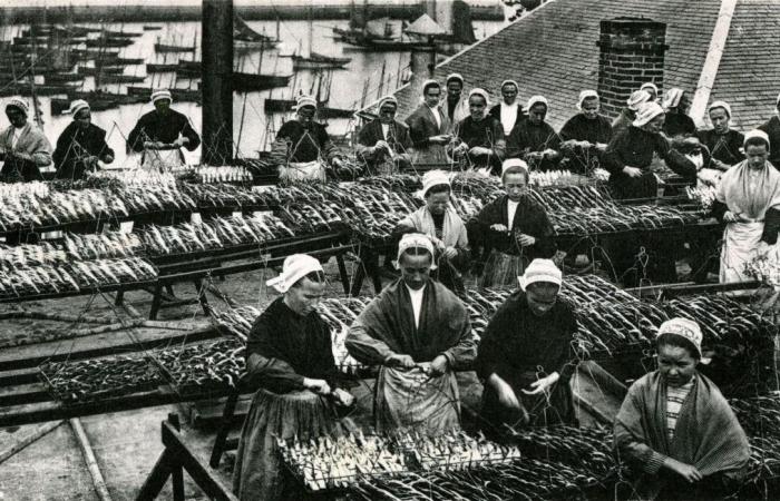 Comment la pêcherie de sardine « exploitée » de Douarnenez a forcé le patronat à se plier