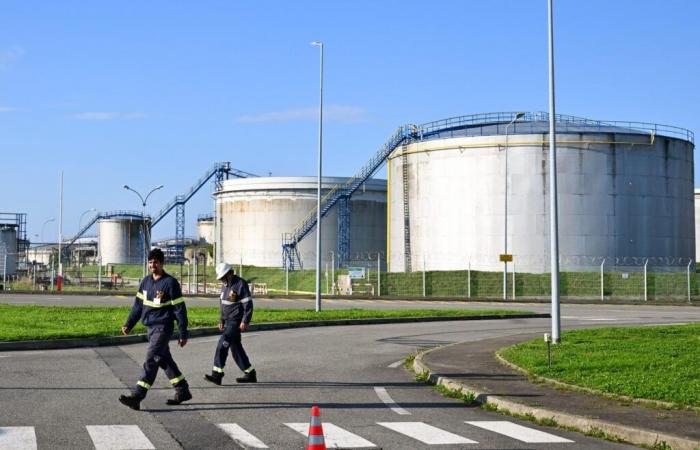 Une fuite de pétrole brut chez TotalEnergies à Donges pollue brièvement la Loire