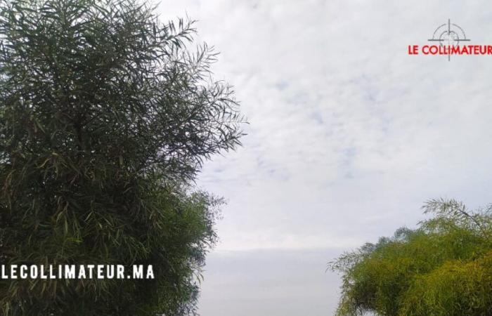 ciel légèrement à temporairement nuageux au nord et au centre