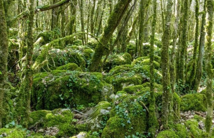 4 randonnées insolites à faire dans l’Aude avant la fin de l’automne