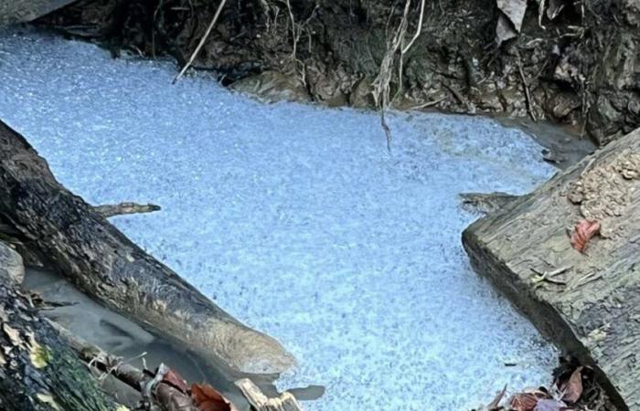 Eau bleue, déchets en tout genre… forte pollution à Mont-Saint-Martin