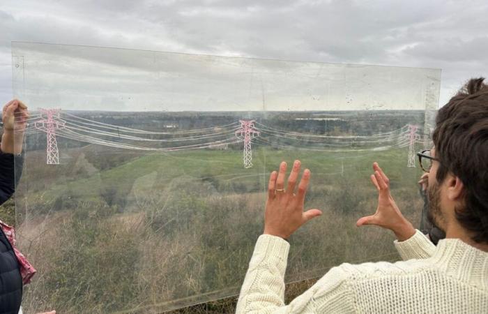 Opération « Comptage d’oiseaux » sur le tracé de la future ligne THT qui traversera le sud du Gard