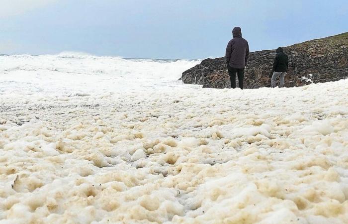 des rafales à plus de 120 km/h et de nombreux promeneurs sur le littoral [En images]