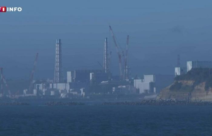 François-Xavier Ménage raconte son reportage en zone rouge de Fukushima