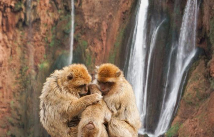 Les 10 plus belles merveilles naturelles du Maroc selon Le Figaro