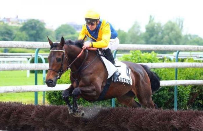 Prédiction gratuite du PRIX DE L’AGGLOMÉRATION DU MONT-SAINT-MICHEL – NORMANDIE (PRIX SAMBRISTAN)