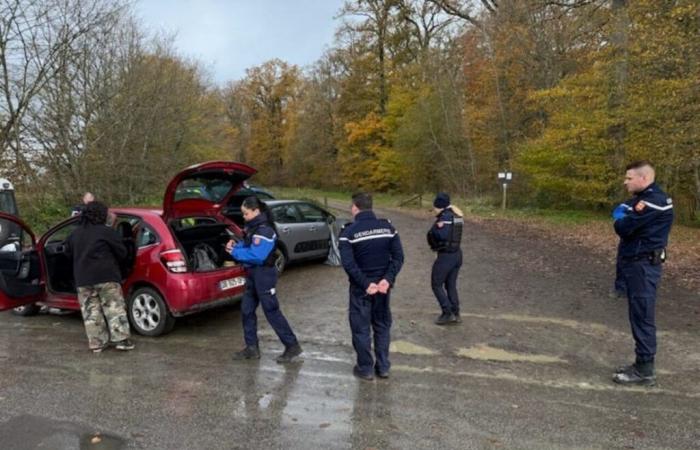 Une rave party dans l’Orne rassemble illégalement 200 personnes dans la forêt de la Bourse