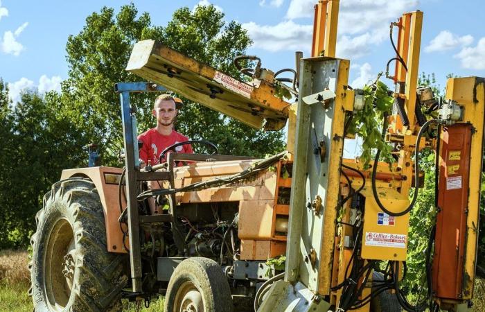 GARD Les Vignerons des Capitelles s’accordent avec vos repas de fin d’année