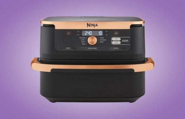 C’est le meilleur moment pour s’offrir cet Airfryer Ninja à un prix fou : merci Black Friday