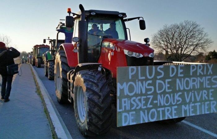 Une semaine chargée de mobilisations à Toulouse et en région Occitanie, à quoi faut-il s’attendre ?