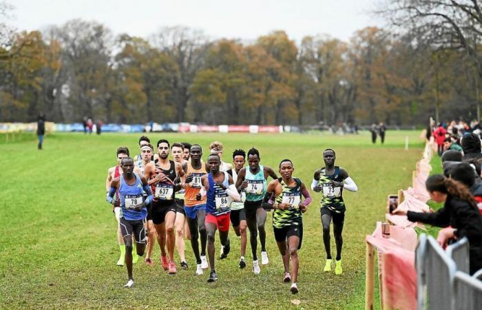 Cross label or à Carhaix : du très haut niveau… et des interrogations