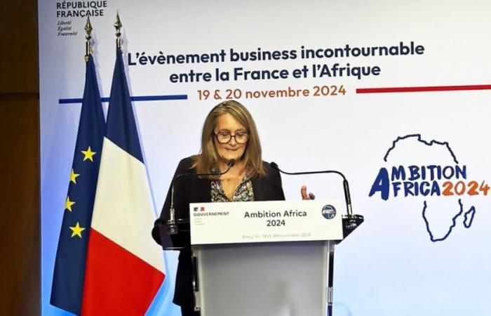 VIème Ambition Afrique / Sophie PRIMAS, Ministre du Commerce Extérieur : « Design et (…)