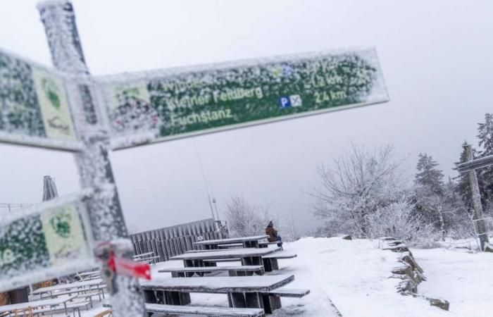 Chaos de neige ou temps printanier ? Un phénomène météorologique caractérise l’hiver en Allemagne